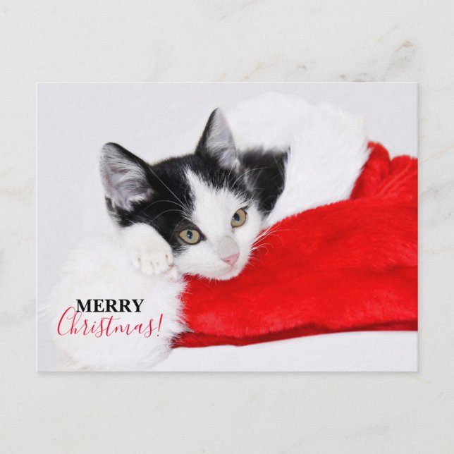 Sött litet kattunge i tomteluva helg vykort (Framsida)