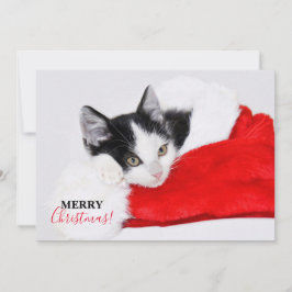 Sött litet kattunge i tomteluva julkort