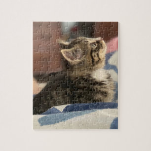 Sött litet kattunge Lämna denna bild eller lägg Pussel