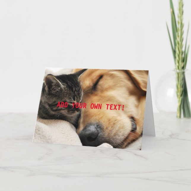 Sött litet kattunge och valp LÄGG TILL EGEN TEXT Kort (Framsida)