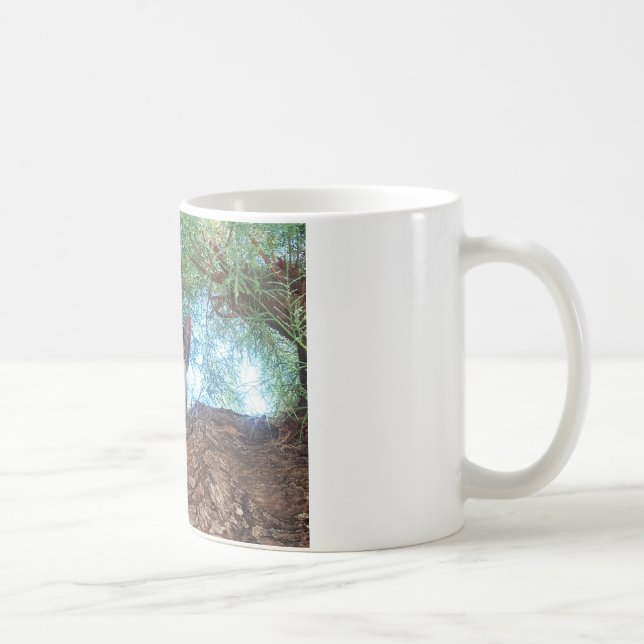 Sött litet kattunge som leker i skogen kaffemugg (Höger)