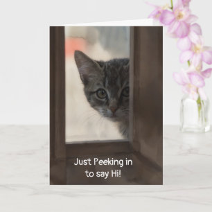 Sött litet kattunge som tittar in genom fönstret o kort