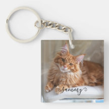 Sött Lockigt Namn Katt Foto