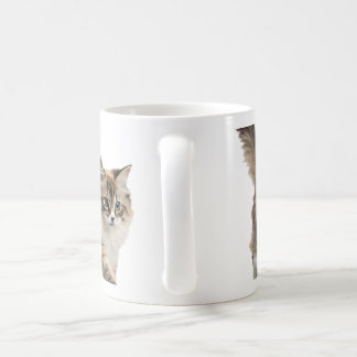 sött luddigt kattkaffekopp kaffemugg