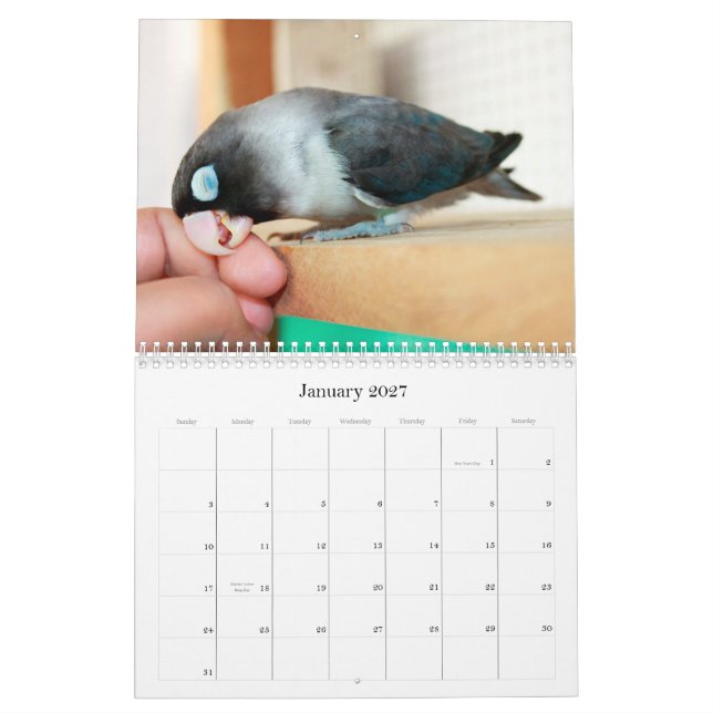 Sött minne för Pocky lovebird Kalender (Jan 2027)