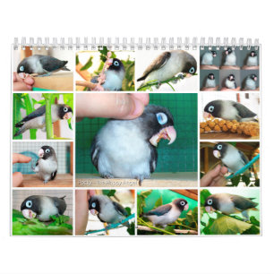Sött minne för Pocky lovebird Kalender