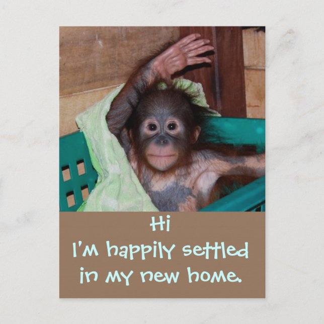 Sött Nytt Hem Adressändring Meddelande Vykort (Framsida)