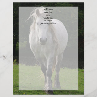 Sött ponnyfotografi