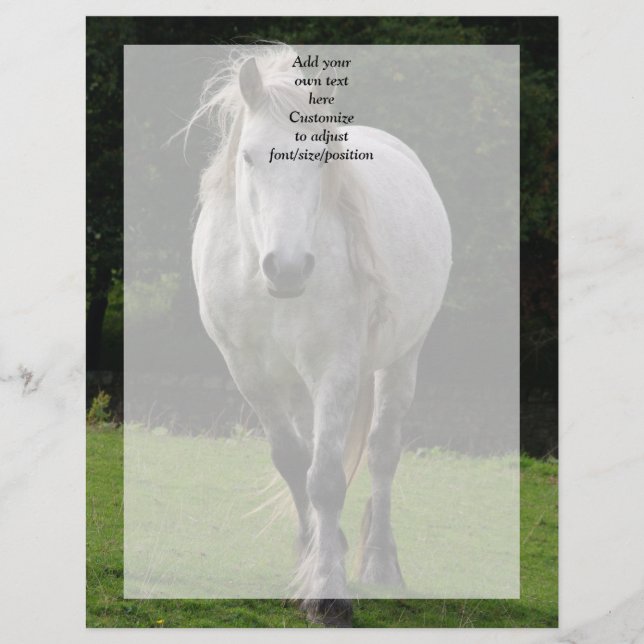 Sött ponnyfotografi (Framsida)