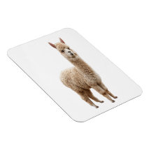 Sött realistiskt fluffigt alpaca fotoflexibelmagne