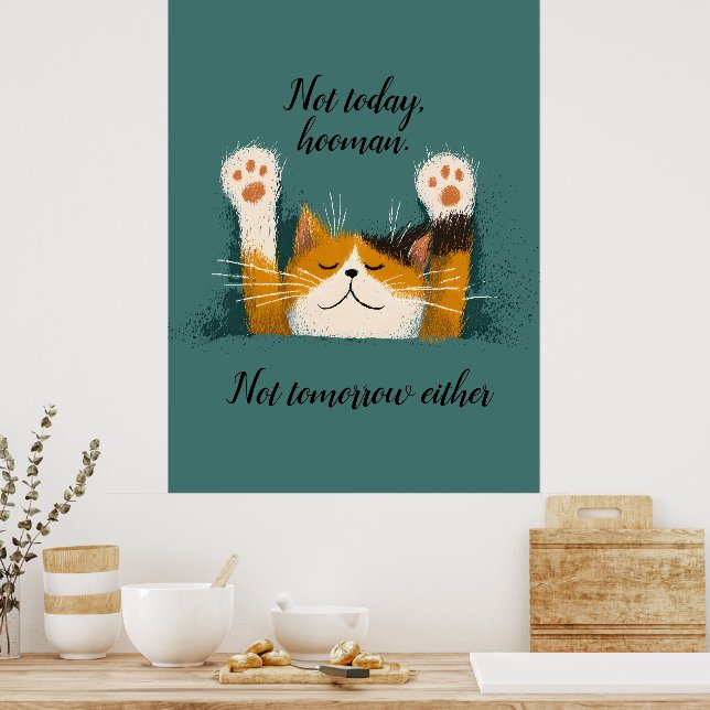 Sött Roligt Katt Sovnad Poster (Kök)