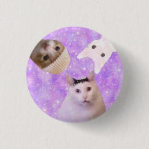 sött roligt meme "Kattarnas råd" pin
