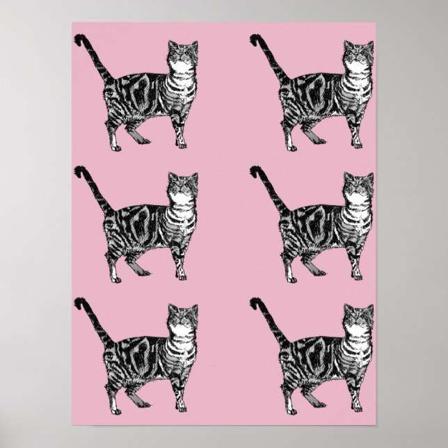 Sött rosa randigt tabbymönster katt katter affisch (Framsidan)