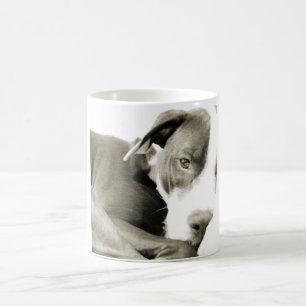 sött sömnigt lat hund av pit bull ras kaffemugg