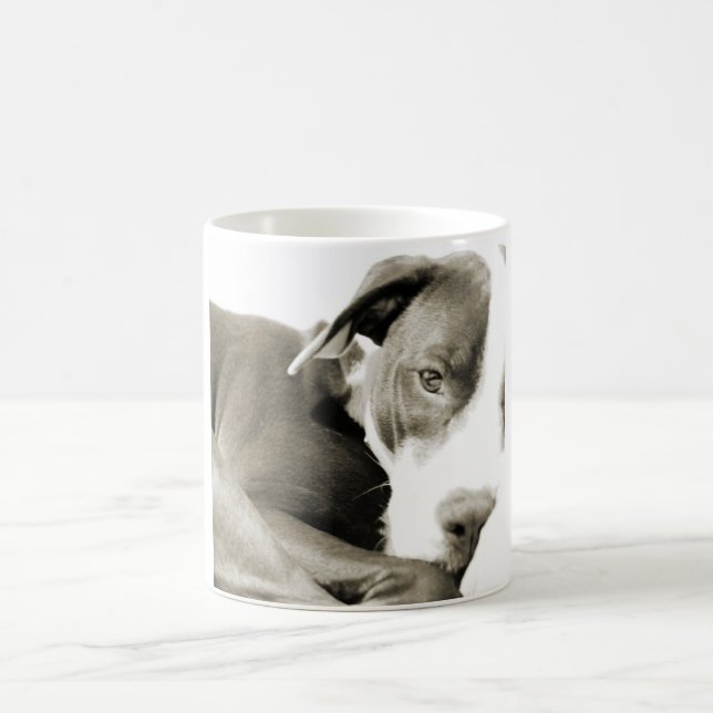 sött sömnigt lat hund av pit bull ras kaffemugg (Center)