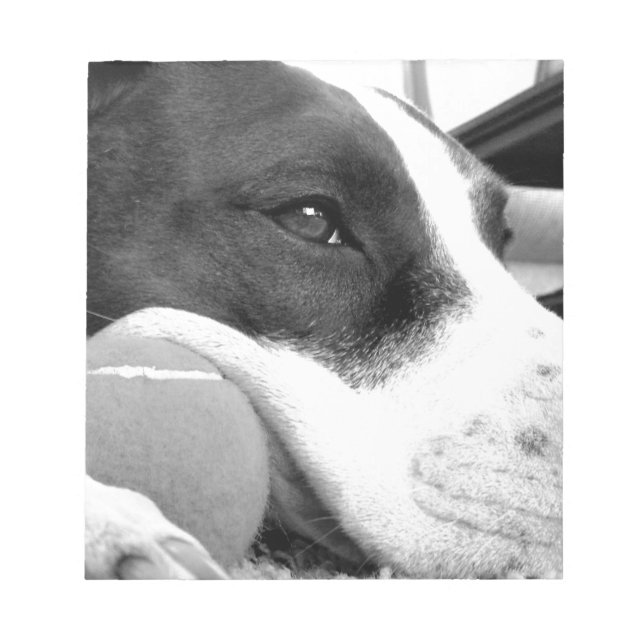 sött sorgset pitbull-hund svart vit med boll anteckningsblock (Framsida)