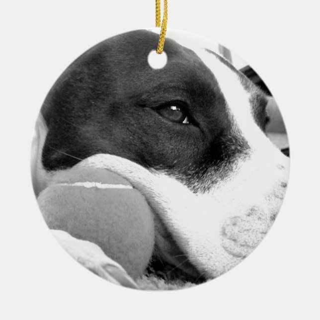 sött sorgset pitbull-hund svart vit med boll julgransprydnad keramik (Framsidan)