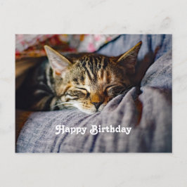 Sött sovande tabbykatt fotobirthday vykort