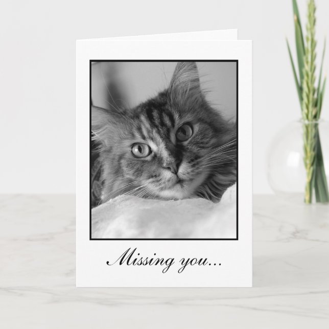 Sött svartvitt foto av tabby katt kort (Framsida)