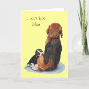 Sött valp beagle foto med mamma kort