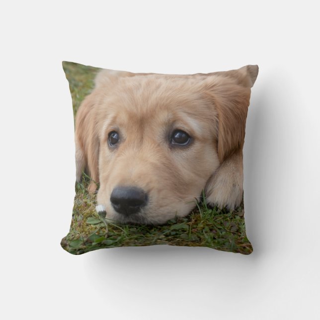 Sött valp hund kudde (Framsida)