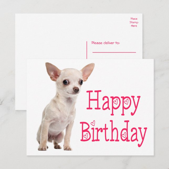 Sött Valp Hund Rolig Chihuahua Födelsedag Vykort (Fram/baksida)