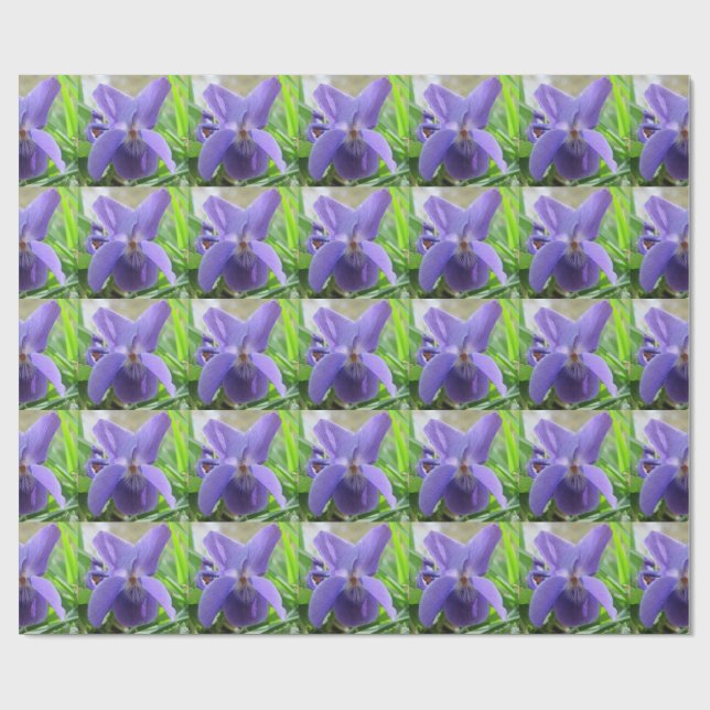 Sött Violet Presentpapper (Platt)