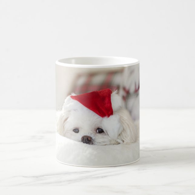 Sött Vitt Hund i en Röd Julhatt Kaffemugg (Center)