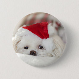 Sött vitt hund i röd julhatt knapp