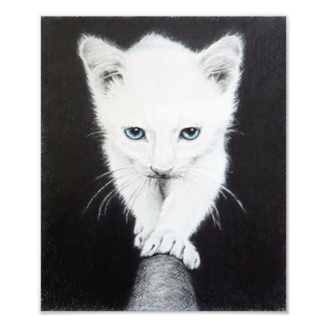 Sött vitt kattunge Djur ritning konst Kattälskare Fototryck (Framsidan)