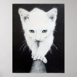 Sött vitt kattunge Djur teckning konst Kattälskare Poster