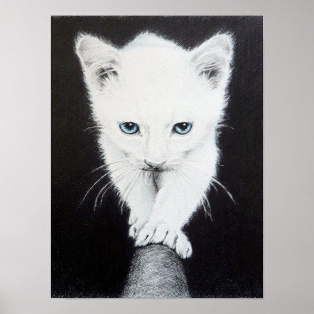 Sött vitt kattunge Djur teckning konst Kattälskare Poster (Framsidan)
