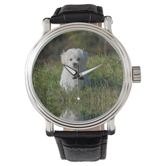 Sött vitt valp armbandsur (Framsida)