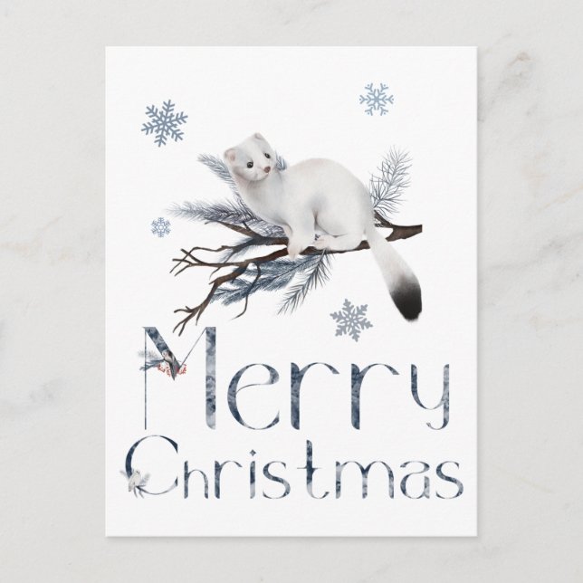 Sött Vitt Vessla Djur På En Tall Vykort (Framsida)