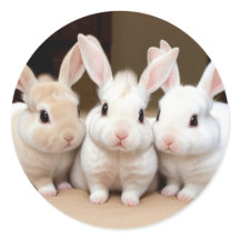 Söttrio av Fluffy Bunnies