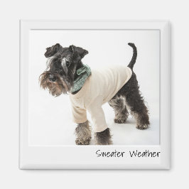 Sötväder, omedelbar kamera Anpassningsbar Magnet