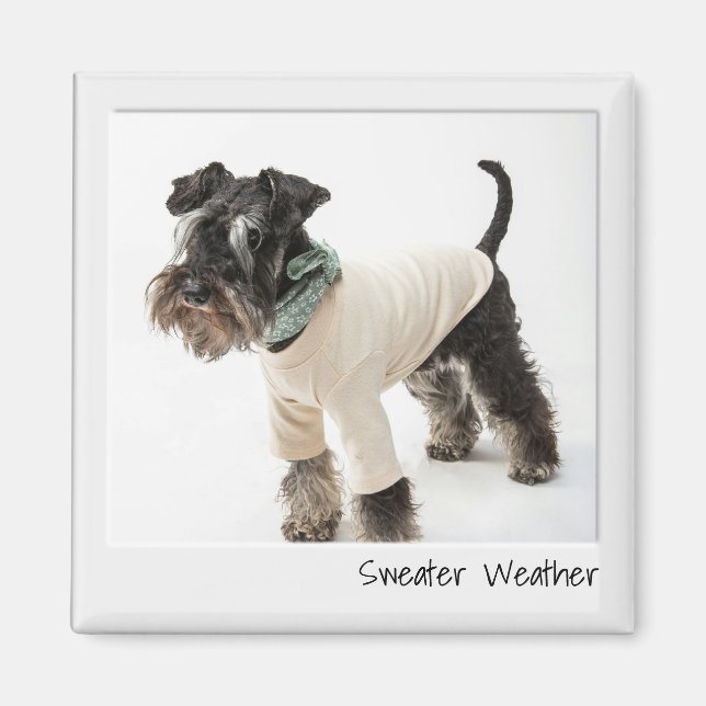 Sötväder, omedelbar kamera Anpassningsbar Magnet (Framsidan)