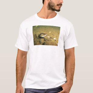 Sötvattens- mussla t-shirt