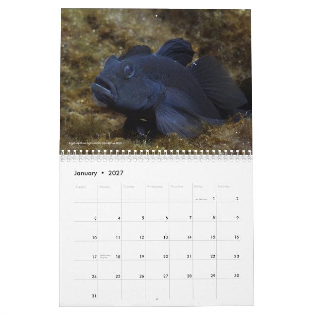 Sötvattensfiskar av den Mexico 2011 kalendern Kalender (Jan 2027)