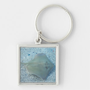 SötvattenStingray Keychain Fyrkantig Silverfärgad Nyckelring