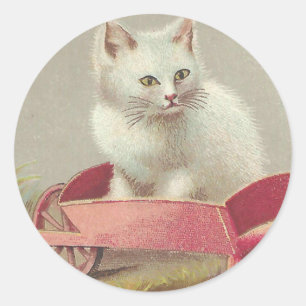 Sötvit kattunge i rosa cart Victorian Vintage Runt Klistermärke