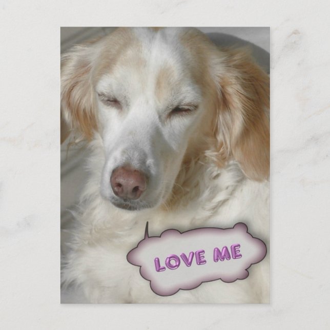 Sötvykort Vykort (Framsida)