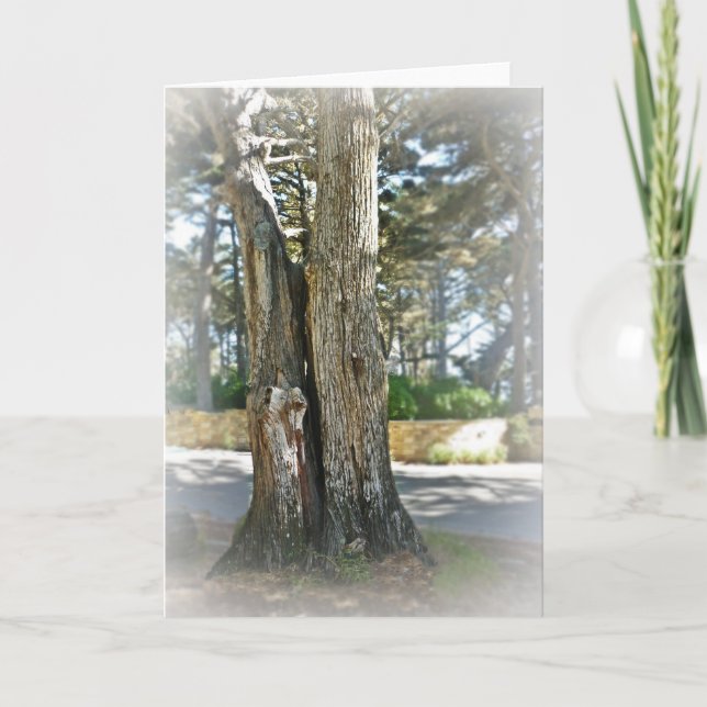 Soul Mates Kort (Framsida)