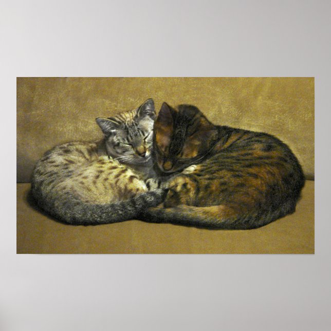 Soul Mates Poster (Framsidan)