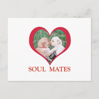 Soul Mates Shirts, Cards, Mugg Vykort