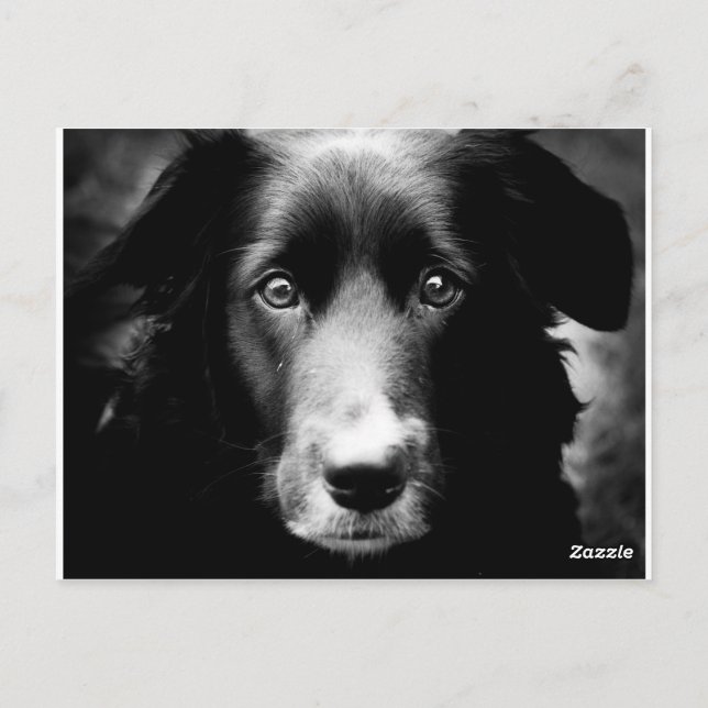 Soul Ögon Vykort (Baksida)