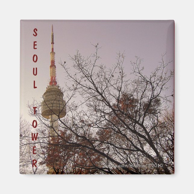 Söul Torn/ Namsan Park, Söul, Sydkorea Magnet (Framsidan)