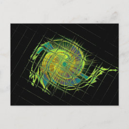 SOULA BRAND 13 VYKORT