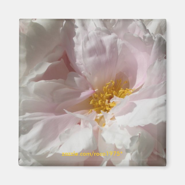 Soulage Magnet (Framsidan)