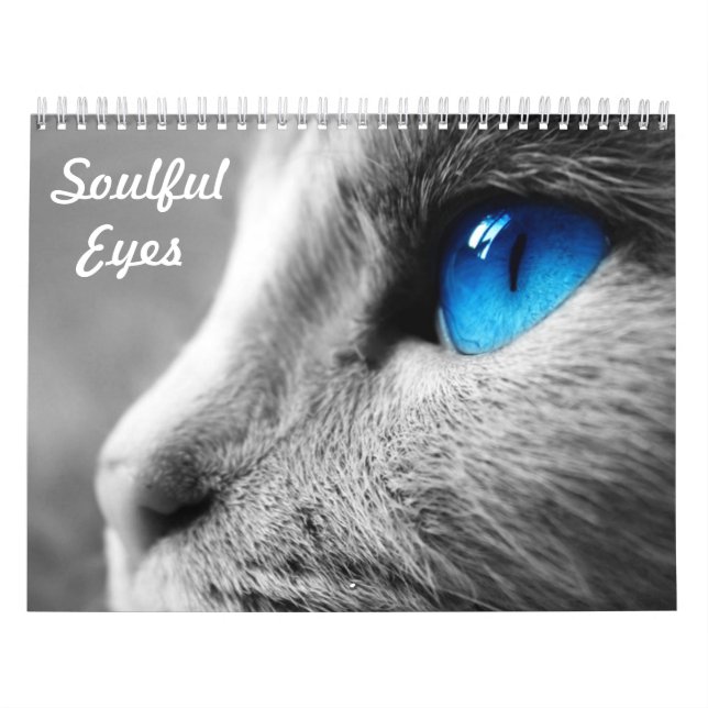 Soulful ögon av katten kalender (Omslag)